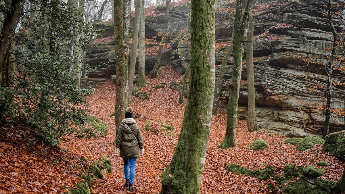 Wild Camping Etiquette in the National Park